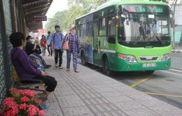 Gần 650 triệu lượt hành khách được trợ giá xe bus năm 2018 tại TP.HCM