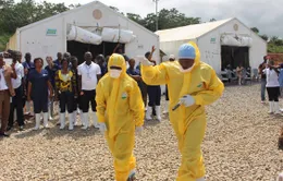 Số người thiệt mạng vì dịch Ebola ở Congo tăng hơn 40% trong 10 ngày