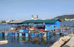 Nhà hàng nổi, lồng bè "uy hiếp" tàu cá trên biển Nha Trang