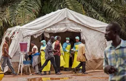 Số người chết do Ebola tại CHDC Congo tăng mạnh trong 10 ngày qua