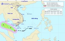 Bão số 1 cách mũi Cà Mau 250km về phía Nam