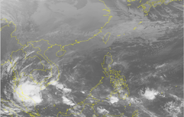Bão số 1 có xu hướng hơi lệch xuống phía Nam