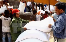 Hỗ trợ hơn 3.700 tấn gạo cho người dân nghèo ở 6 tỉnh ăn Tết