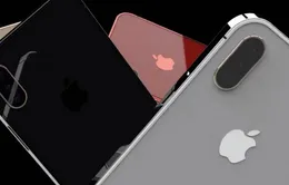 iPhone 11 cực chất với thiết kế của iPhone SE, tích hợp 3 camera sau