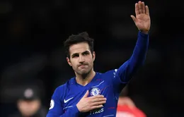 Fabregas gửi thông điệp đến các CĐV Chelsea