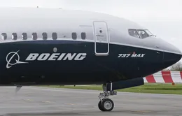 Indonesia dừng tìm kiếm hộp đen máy bay Boeing 737