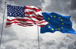 Mỹ hạ quy chế ngoại giao của EU