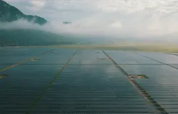 Biến đất khô thành cánh đồng năng lượng