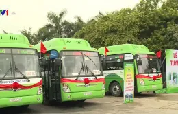 Phát triển những tuyến xe bus sử dụng nhiên liệu sạch