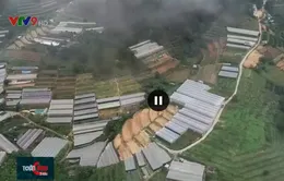 Phá bỏ nhà kính: Có phải là giải pháp khả thi trong phát triển Đà Lạt?