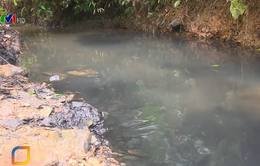 Phát hiện dầu thải ở đầu nguồn nước sạch sông Đà