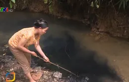 Thủ tướng chỉ đạo xử lý vấn đề ô nhiễm nguồn nước sạch sông Đà