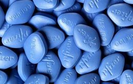 Sử dụng Viagra giúp giảm đau trong quá trình cấy ghép tủy xương