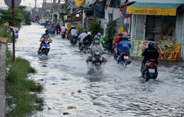 Nhiều nguy cơ bệnh tật do triều cường kéo dài