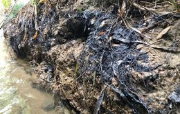 Khởi tố vụ án đổ dầu thải xuống đầu nguồn nước sông Đà