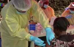 WHO hoan nghênh EU cấp phép lưu hành vaccine Ebola đầu tiên