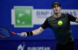 Andy Murray vào chung kết giải quần vợt Antwerp mở rộng 2019