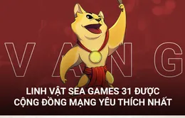 Chú chó Vàng được bầu chọn là bài thi linh vật SEA Games 31 được yêu thích nhất