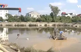 Nghệ An: Làm rõ phản ánh nhà máy nước xả bùn thải ra hồ điều hòa