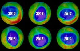 Lỗ thủng tầng ozone thu lại nhỏ nhất từ năm 1982 đến nay