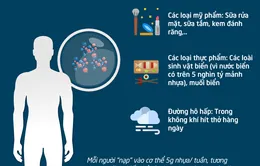 [Infographic] Hạt vi nhựa đi vào cơ thể chúng ta như thế nào?