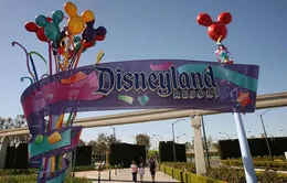 Lo ngại bệnh sởi lây lan khi tham quan công viên Disneyland