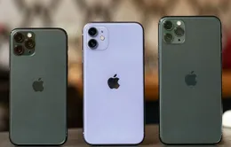 iPhone 11 Pro không được ưa chuộng tại Việt Nam