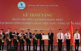 90 năm ngày truyền thống ngành cao su Việt Nam