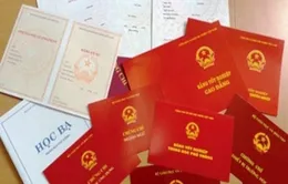 Chấn chỉnh việc cấp văn bằng, chứng chỉ, giấy chứng nhận
