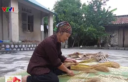 Yên Đức - Làng quê của những hướng dẫn viên du lịch chân đất