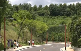 Giới trung lưu Trung Quốc "đốt tiền" nhiều nhất vào việc gì?