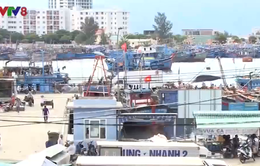 Đà Nẵng nâng cấp cảng cá Thọ Quang