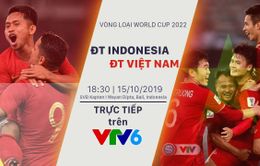 Thay đổi giờ và địa điểm thi đấu giữa ĐT Indonesia và ĐT Việt Nam tại Vòng loại World Cup 2022