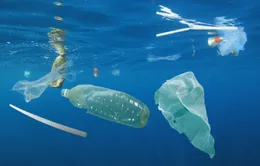 Nhật Bản và Thái Lan lập dự án nghiên cứu ô nhiễm rác thải nhựa ở đại dương