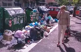 Italy: Chuột hoành hành ở Rome do khủng hoảng rác