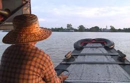Người đưa đò Cồn Sơn
