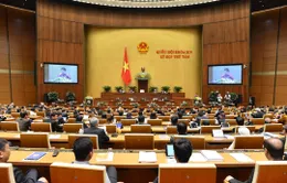 Những sự kiện đáng chú ý diễn ra trong tuần từ 11 - 17/11