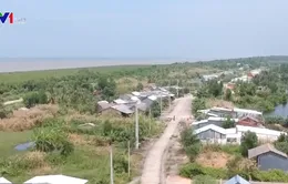 Gian nan tái định cư cho người dân vùng sạt lở Cà Mau