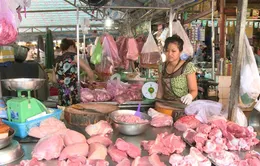 Hà Nội: Giá bán lẻ thịt lợn lên mức kỷ lục