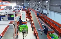 Các DN thương mại điện tử cạnh tranh dịp Lễ Độc thân