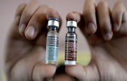 Vaccine sốt xuất huyết có thể giúp giảm tỷ lệ nhập viện đến 95%