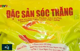 Gạo ST - Niềm tự hào của hạt gạo mang thương hiệu Việt Nam