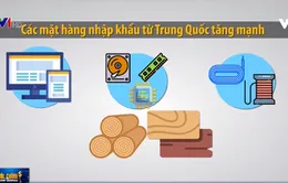 Kiểm soát năng lực sản xuất của doanh nghiệp, phòng tránh gian lận xuất xứ