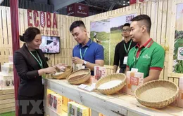 Hỗ trợ doanh nghiệp nữ làm chủ qua Food Expo 2019