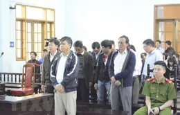 Tuyên án vụ sai phạm tại rừng phòng hộ Bắc Biển Hồ