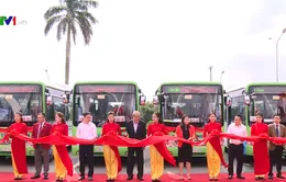 Mở thêm tuyến xe bus sử dụng nhiên liệu sạch