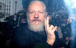 Thụy Điển chấm dứt điều tra Julian Assange