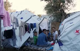 Hy Lạp bắt đầu đưa trẻ em di cư sang các nước khác