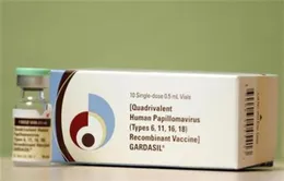 Nghiên cứu mới xác định vaccine ngừa HPV an toàn