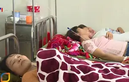 Tìm nguyên nhân ngộ độc khí tại Lập Thạch, Vĩnh Phúc